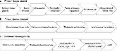 Designing, analyzing, and interpreting observational studies of physical activity and cancer outcomes from a clinical oncology perspective